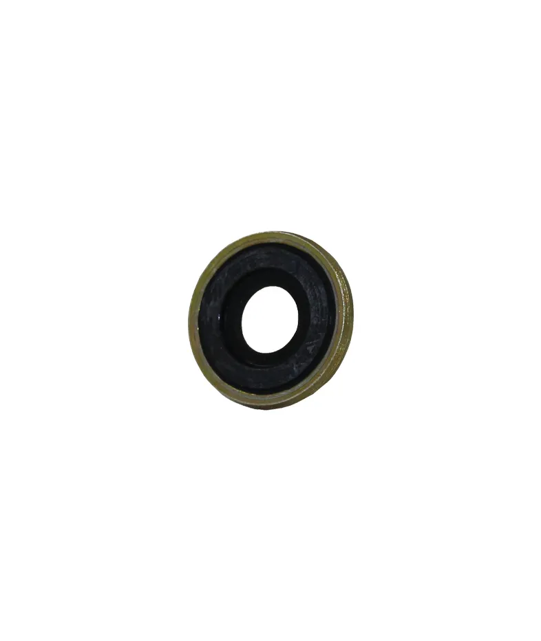 OX010 Pin-Index "BODOK" Seal (each)