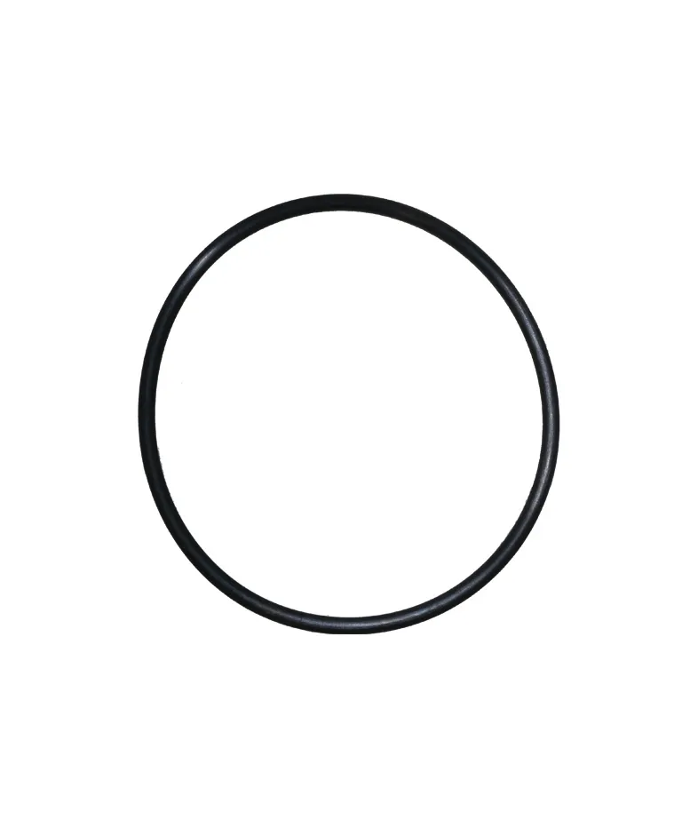 S6190 Jar Lid Sealing Ring (For 2 Litre Jar)