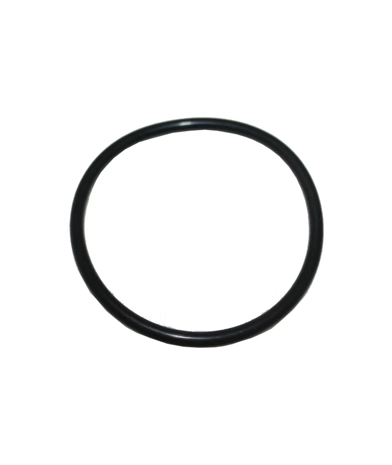 S7019 Filter Sealing Ring (Round Form)