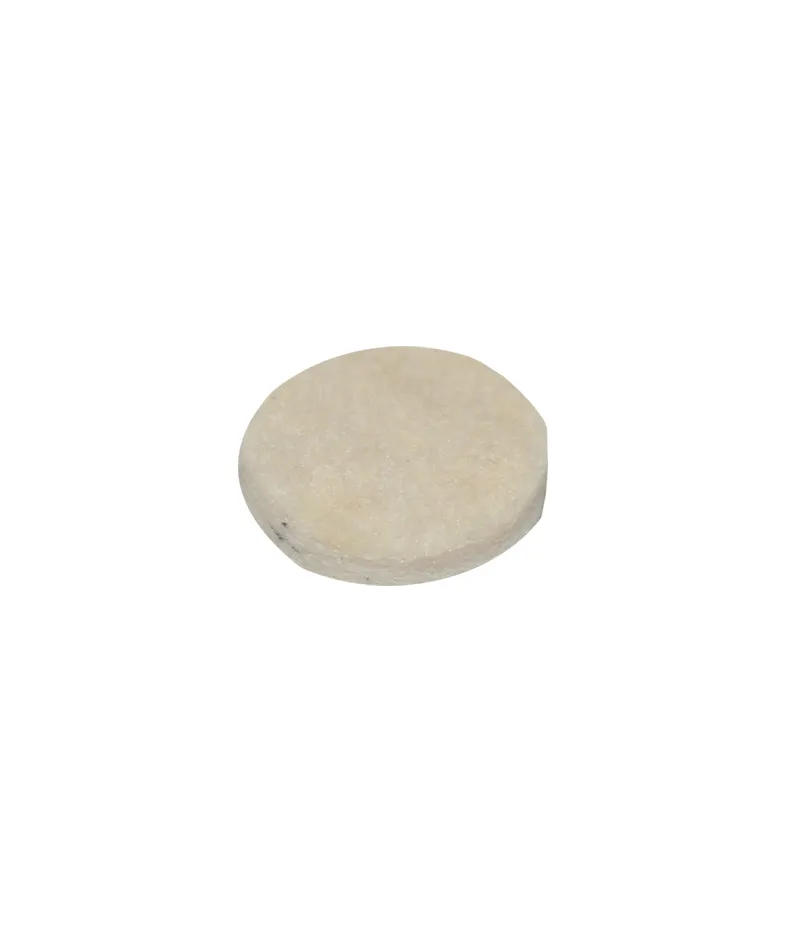 VV029 Exhaust Filter Disk (each)