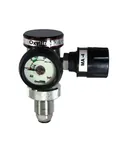 R2421 Compact Regulator Bullnose & Self Sealing Valve Air (MA-4)